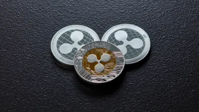 XRP-Revival? Ripple Bären ablehnen, während sich Wale häufen