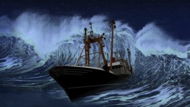 XRP auf einem sinkenden Schiff? Warum der Preis von Altcoin weiter sinkt