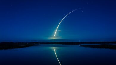 XRP auf fast 600 US-Dollar? Analyst macht mutige Behauptungen, aber können damit rechtliche Hürden überwunden werden?