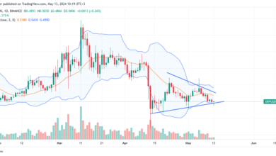 XRP Daily Chart for May 13