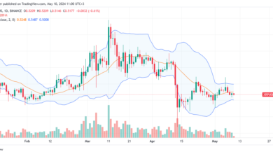 XRP daily chart for May 10