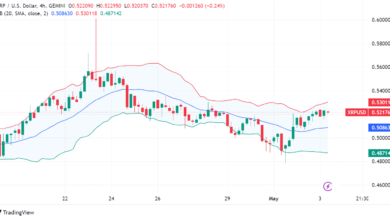 XRP Stands at a Crossroads: Legal Battle and Price Movement