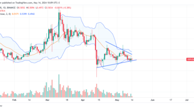 XRP daily chart for May 14