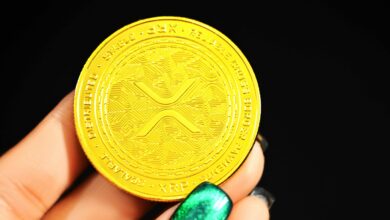 XRP- und Cardano-Wale packen ihre Taschen: Vorbereitung auf die Altcoin-Rallye?