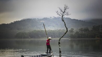 Xi Jinping in Serbien und Ungarn: China schärfte seine Axt