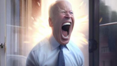 „Jeo Boden“-Meme-Coin steigt nach Trump-Diss um 20 % – Details