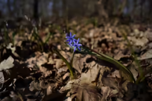 Justin Sun stärkt Vertrauen in Ethereum trotz Marktvolatilität