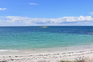 Aktuelle Bewegungen auf dem Krypto-Markt: Gewinner und Verlierer im Fokus