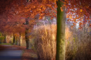 Krypto-Trend im Oktober: Bitcoin über 60.000 USD und spannende Altcoins