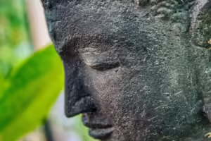 TAO: Aufwärtstrend bei Bittensor erreicht neue Höhen im Krypto-Markt