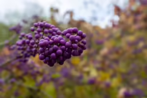 Kaia Token: Fusion bringt frischen Wind und Kursrallye ins Krypto-Geschäft