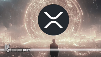 XRP und PlutoChain: Krypto-Innovationen und ihre lokale Bedeutung 2025