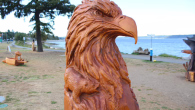 Ripple-CEO Garlinghouse vs. Bitcoin-Analytiker Woo: Ein Streit um die Zukunft der Krypto-Welt