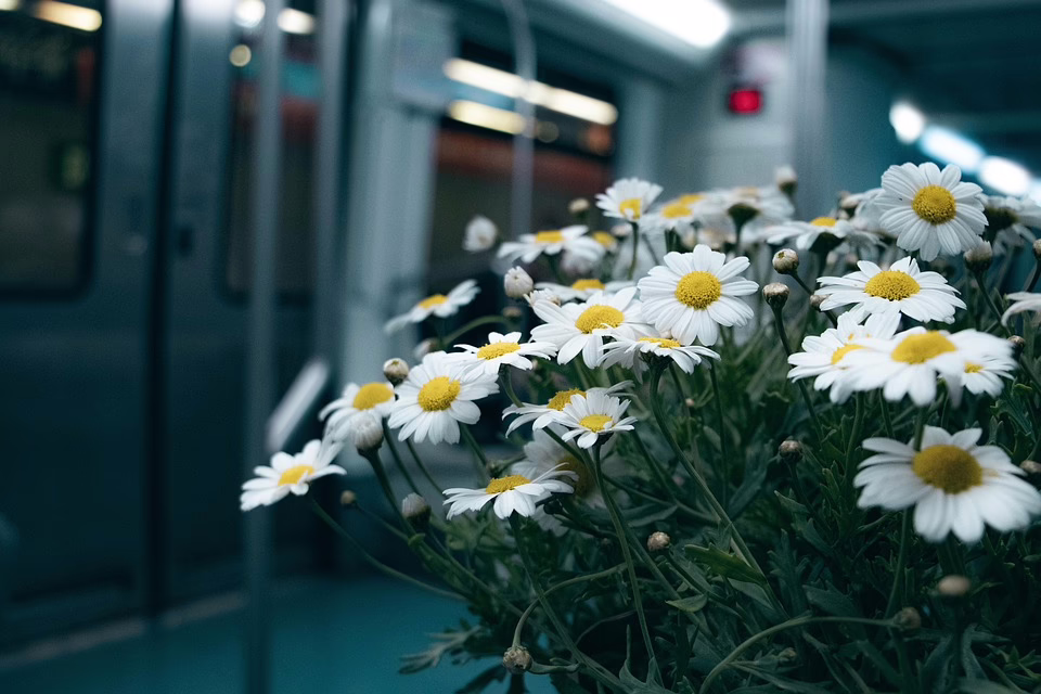 DeepSeek: Die disruptive Kraft, die die Zukunft von KI und Krypto neu definiert!