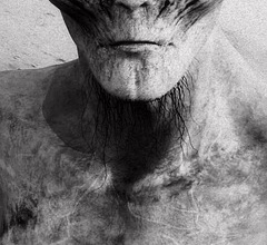 1Fuel: Ein vielversprechender Neuling im Schatten von XRP und ADA