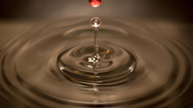 Ripple Revolutioniert den Zahlungsverkehr: Neue Lizenzen in New York und Texas