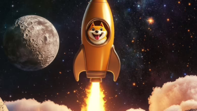 Analyst sagt neuen Höhepunkt für Doge Coin