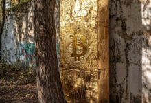 Texas Senat prüft Schaffung einer strategischen Bitcoin-Reserve