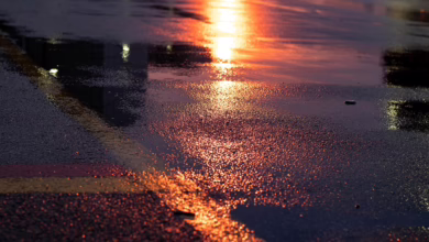 Warum $FXG die nächste große Chance für Krypto-Investoren ist