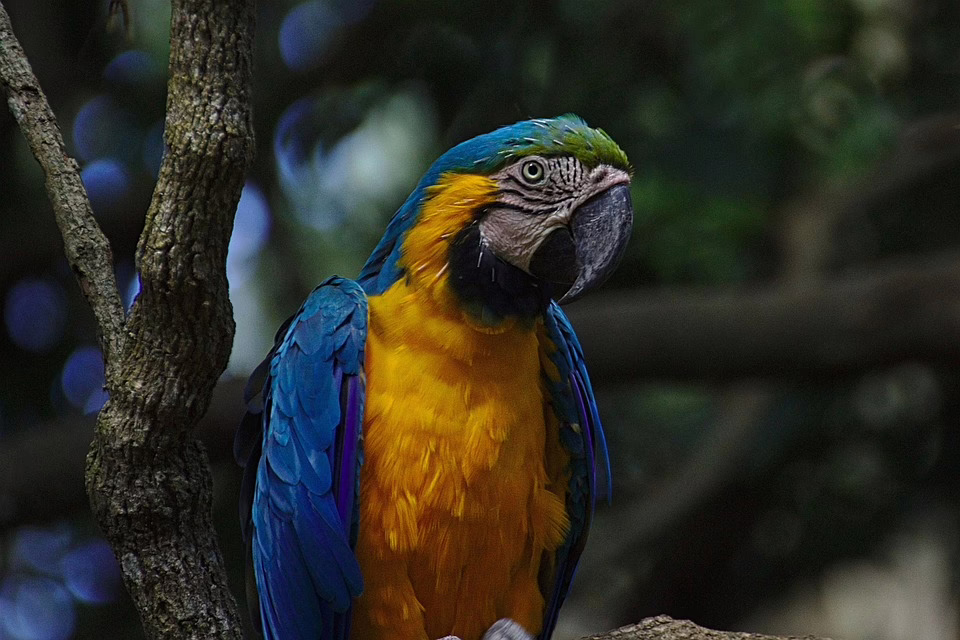 OKX: Neue Ära für Krypto-Handel in Europa startet aus Malta