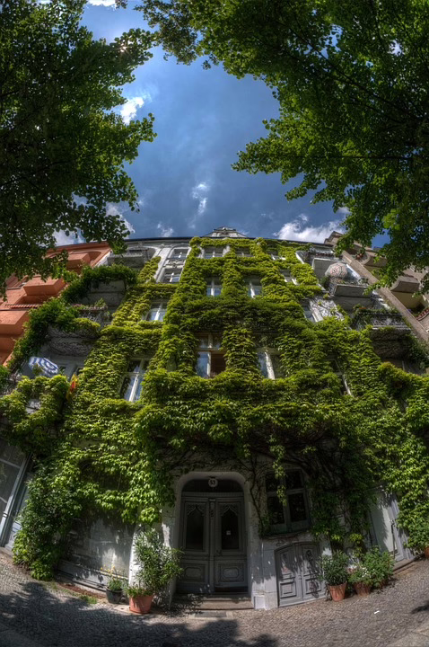 Die Zukunft des Investments: 2025 als Wendepunkt für Kryptowährungen