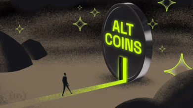 Investorenwandel: Fokuswechsel von Memecoins zu innovativen DeFi-Projekten