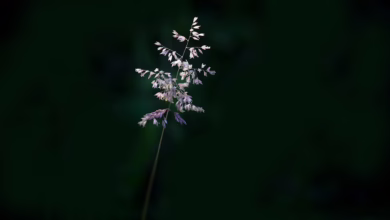 Marktanalyse: Negative Nachrichten und Volatilität im Krypto-Sektor