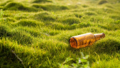 $LBX.X: Ein Neuansatz für Umweltschutz und Arbeitsplätze in unserer Region