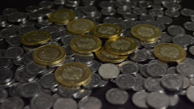 XRP und RCO Finance: Wie Tweets und KI die Krypto-Welt revolutionieren