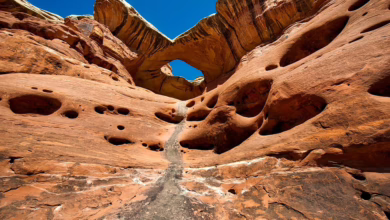 Utah plant Krypto-Reserve: Kann XRP diesen Schritt meistern?