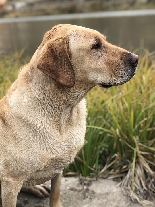 TRM Labs erweitert Risiko-Management für TON: Sicherheit für lokale Finanzinstitute