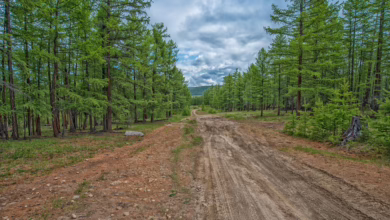 Bitcoin und Co.: Marktupdate aus der Region am 16. Februar 2025