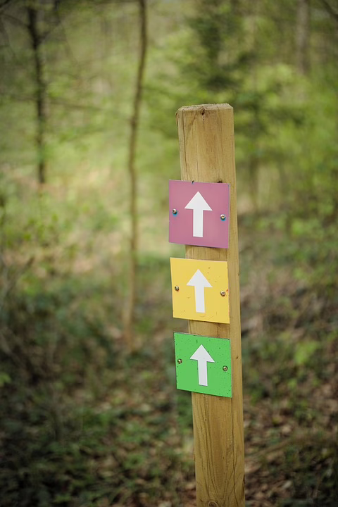 Neue Kryptoplattform WLF: Trumps Wegweiser in die Finanzzukunft