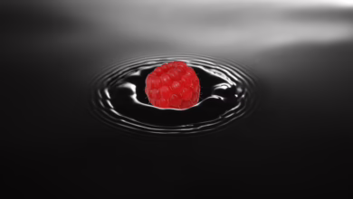 Ripple (XRP): Steigende Kurse und große Erwartungen bis 2025