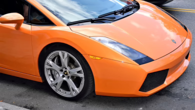 Dogecoin und KI: Der innovative Weg zur Revolutionierung des Krypto-Handels