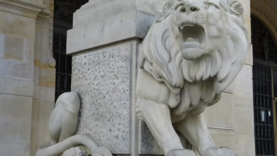 GameStop erwägt Krypto-Investitionen: Neues Kapital für innovative Strategien