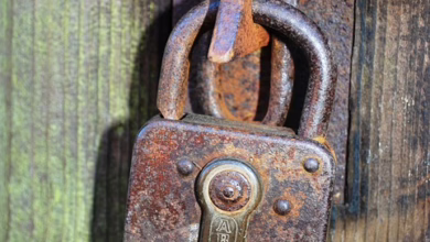 Sichere Krypto-Wallets: Warum Seed-Phrasen ein Risiko darstellen