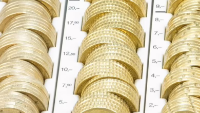 Pi Coin: Der nachhaltige Kryptowährungswechsel für Smartphone-Nutzer