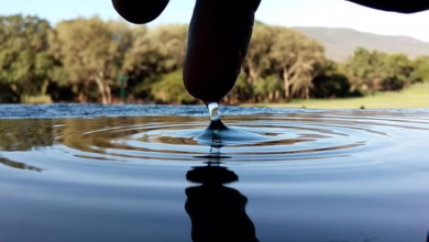 Ripple und XRP: Ein neues Kapitel in der SEC-Auseinandersetzung?