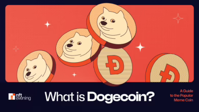 Dogecoin: Der Spaß-Token mit ernsthaftem Potenzial für Anleger