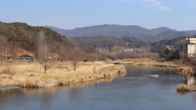 Zukunftsvisionen: Krypto und KI im Aufbruch – Ein Blick auf Public Key Episode 148