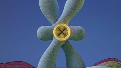 „Ripple-Fall: Werden die neuen SEC-Führungswechsel die Klage pausieren?“
