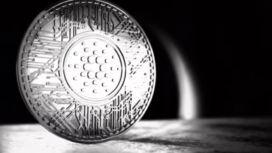 Kurssturz bei Bitcoin und Altcoins: Die Auswirkungen der US-Inflation