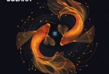 Franklin Templeton beantragt Solana-ETF: Chancen und Herausforderungen für Anleger