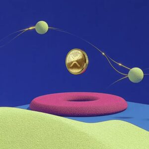Jake Claver : Argumentation mobilisiert XRP als neutrale Brücke