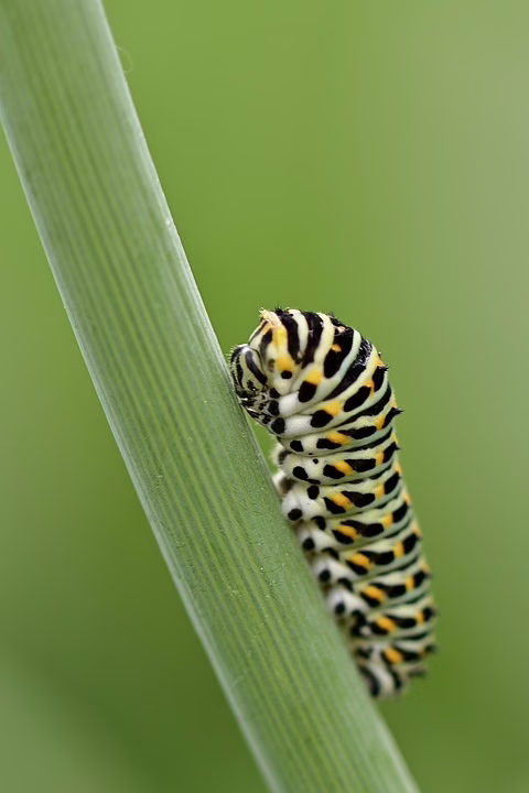 Stablecoins im Fokus: Banken setzen auf digitale Währungen für Zahlungen