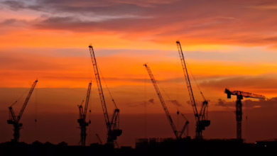 Bitcoin im Aufwind: Prognosen und Entwicklungen für die Zukunft