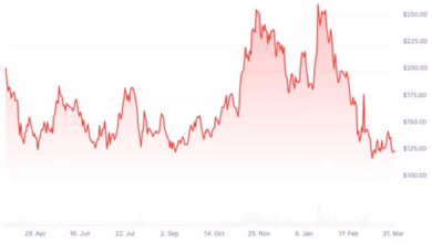 Bitcoin im Fokus: Chancen und Geheimtipps für lokale Krypto-Investoren