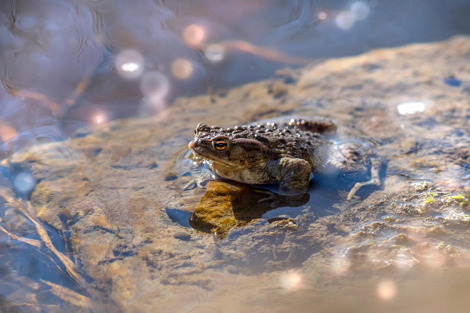 Ripple unter Druck: XRP-Kurs kämpft um Erholung nach volatiler Woche