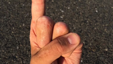 „XRP-Renaissance: Wichtige Marken im Fokus für den nächsten Aufschwung“